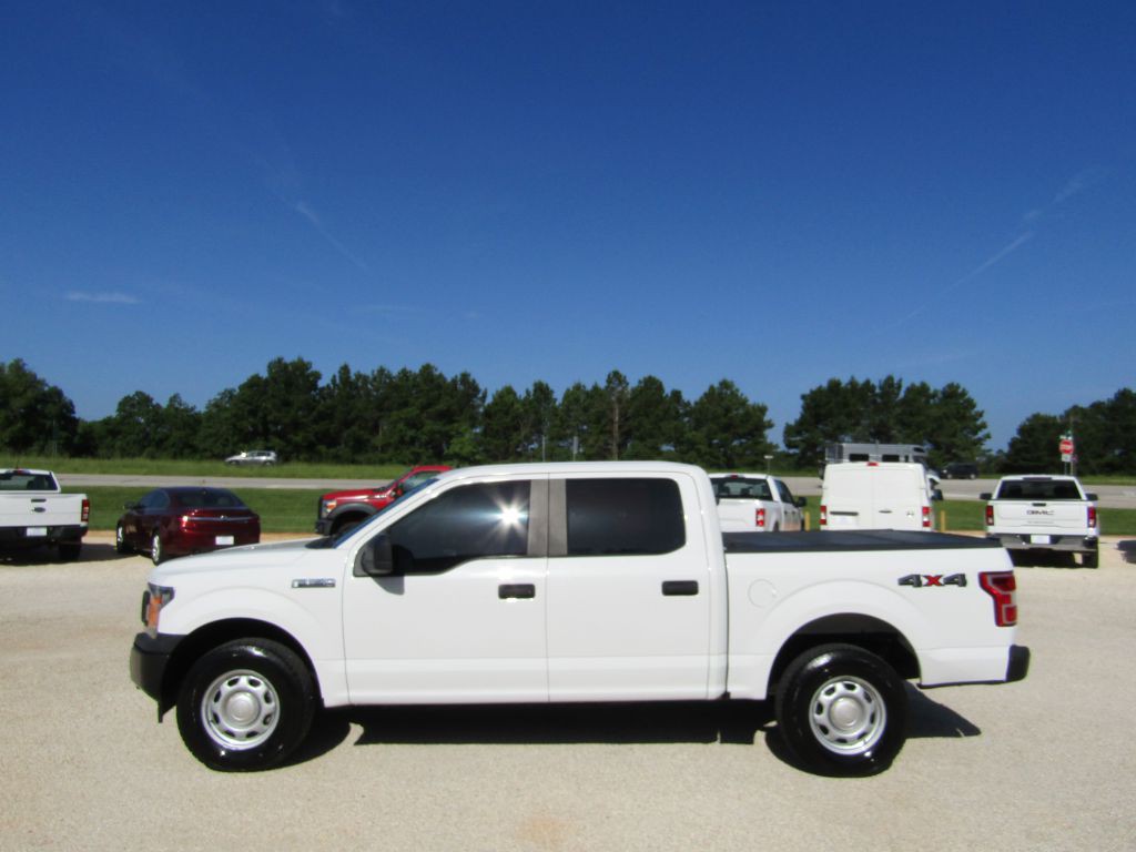 2019 Ford F-150 Image 12