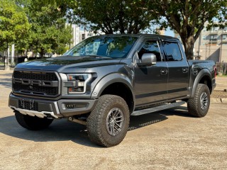 Image for 2020 Ford F-150 Raptor ID: 6314784