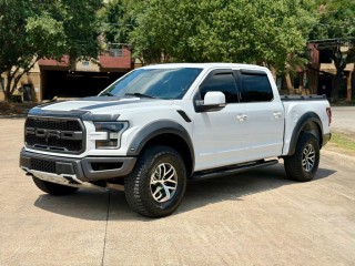 Image for 2018 Ford F-150 Raptor ID: 6731903