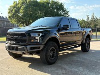 Image for 2020 Ford F-150 Raptor ID: 6892590
