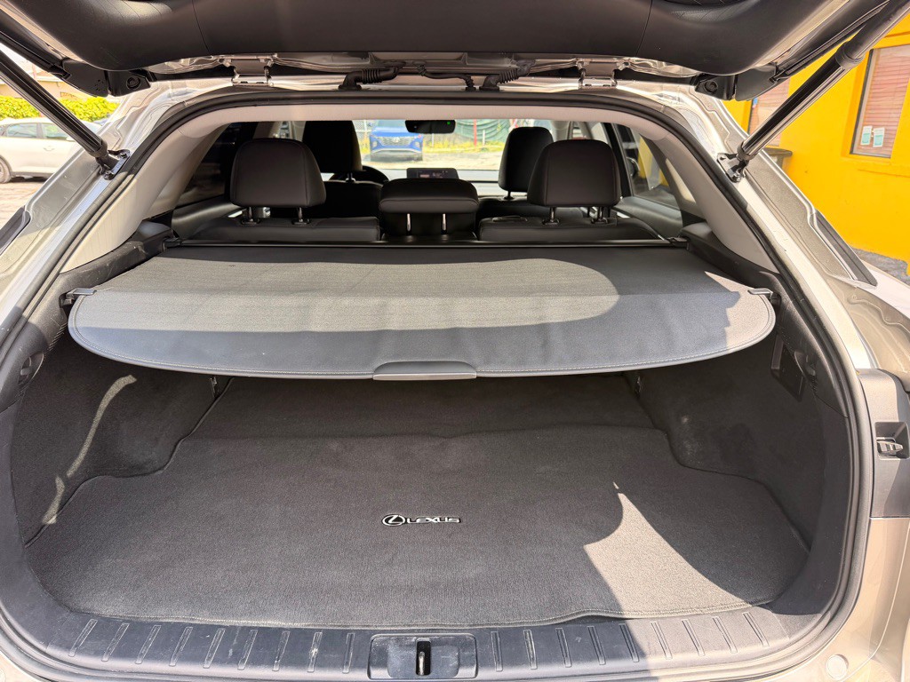 2019 Lexus RX Image 19