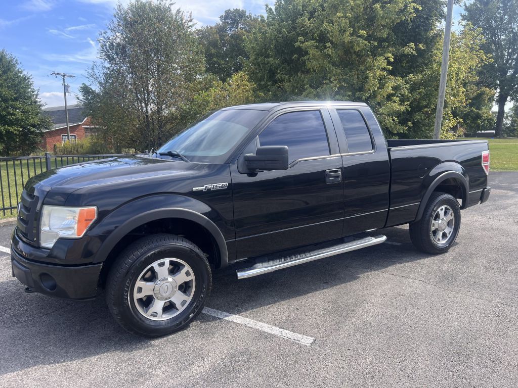 2010 Ford F-150 Image 1