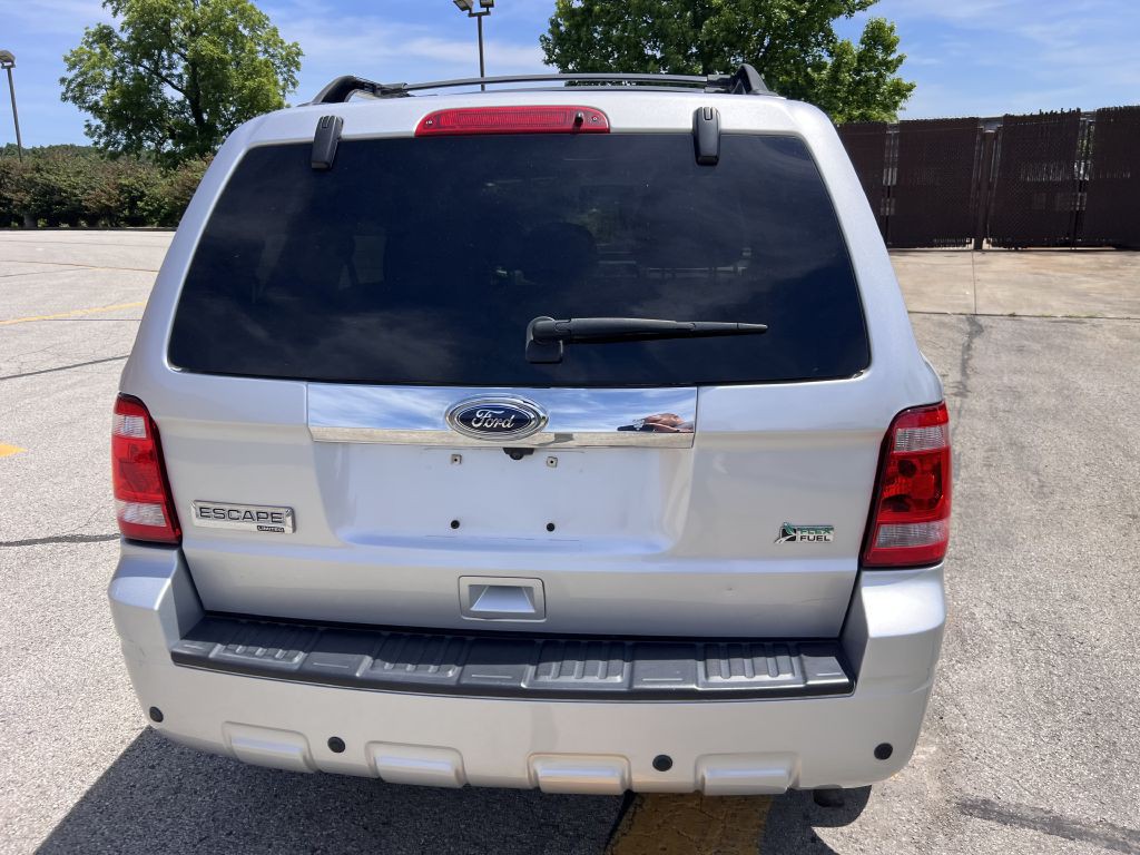 2010 Ford Escape Image 6