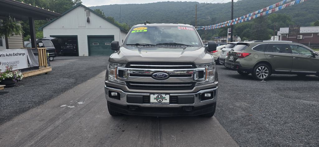 2019 Ford F-150 Image 3