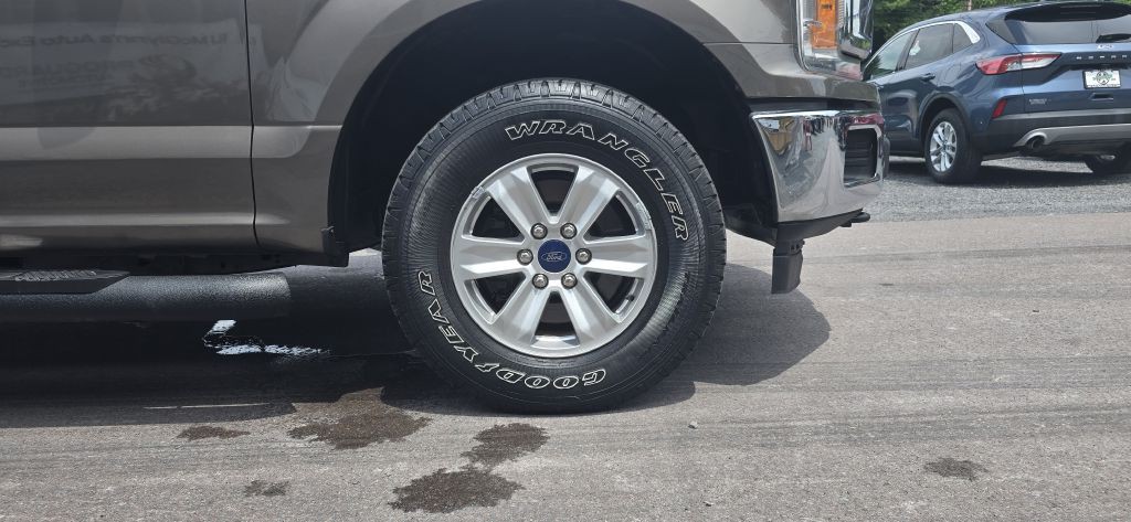 2019 Ford F-150 Image 10