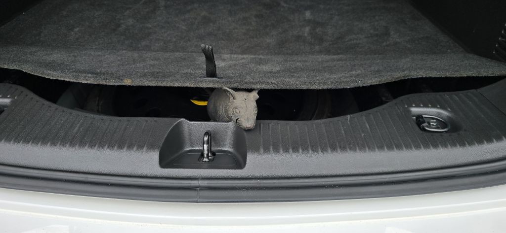 2019 Buick Enclave Image 20