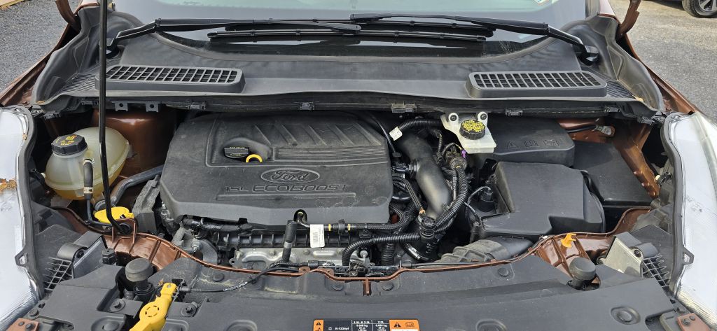 2017 Ford Escape Image 11