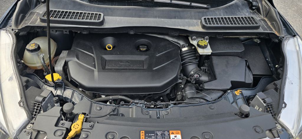 2019 Ford Escape Image 11