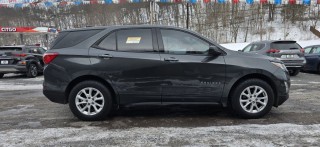 Image for 2019 Chevrolet Equinox LS ID: 7144804