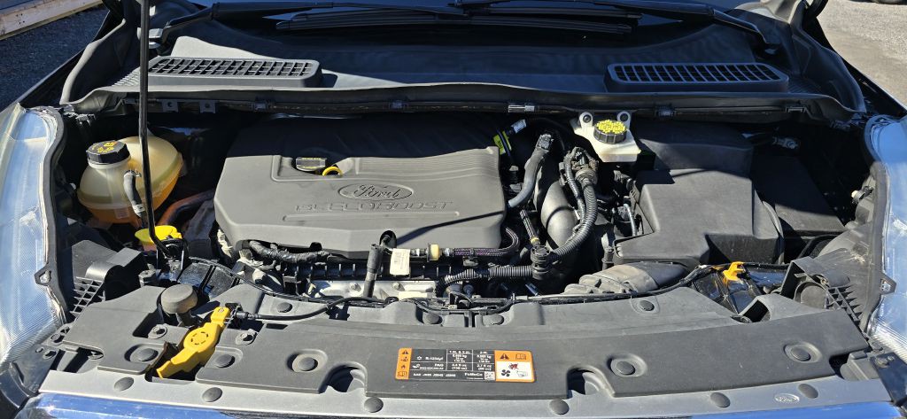 2017 Ford Escape Image 12