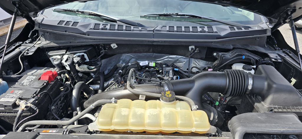 2020 Ford F-150 Image 10