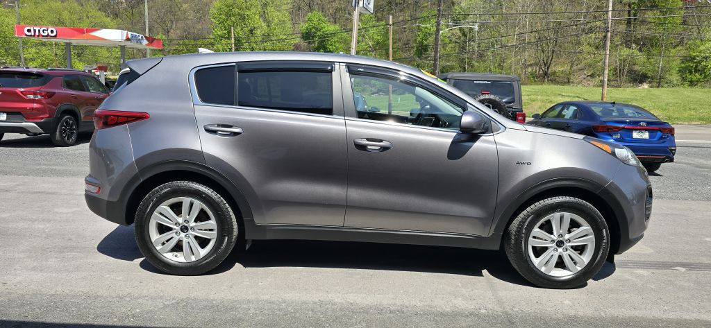2019 Kia Sportage Image 1