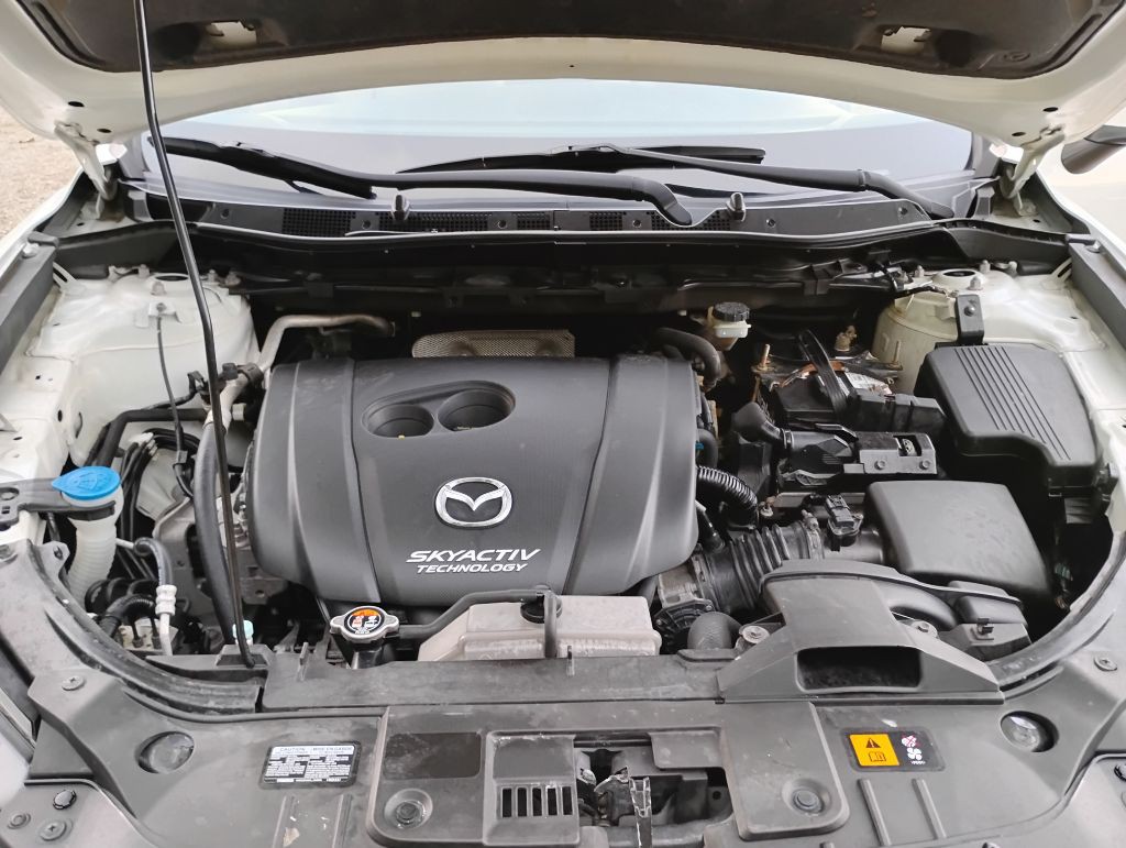 2014 Mazda CX-5 Image 20
