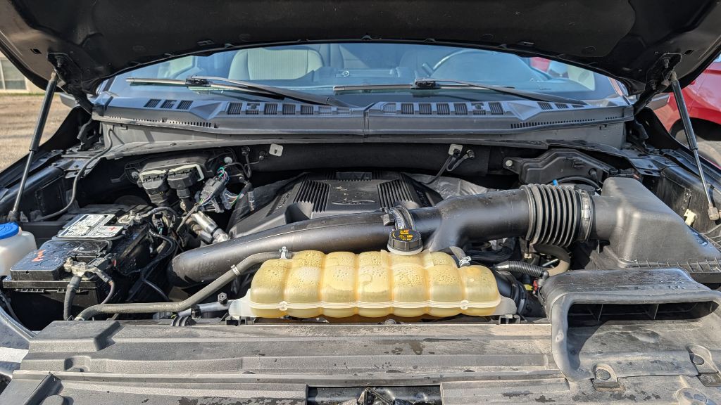 2019 Ford F-150 Image 19