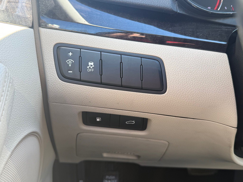 2014 Kia Cadenza Image 12