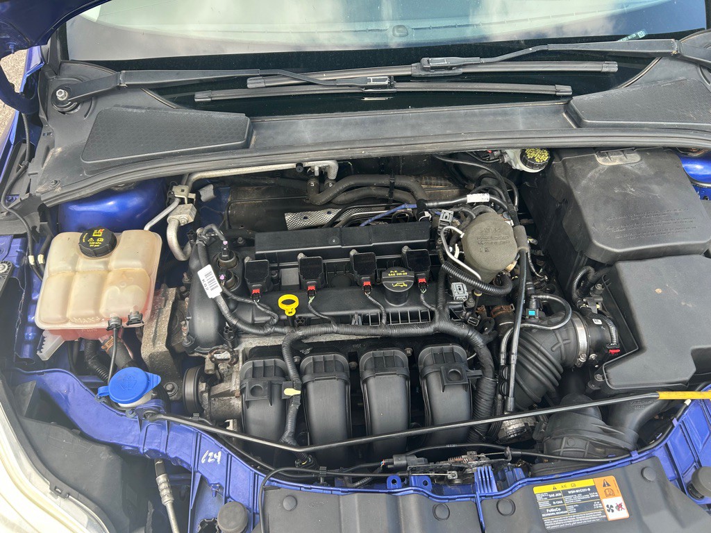 2014 Ford Focus Image 6