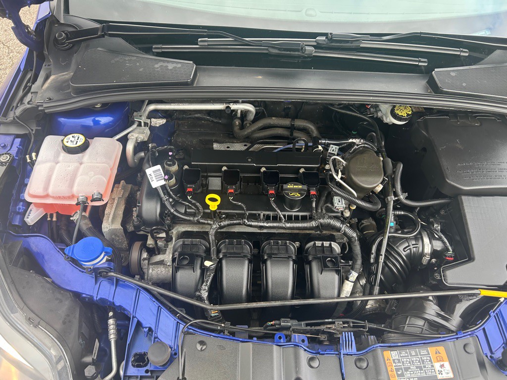 2014 Ford Focus Image 9