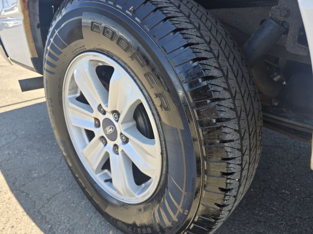 2011 Ford F-150 Image 14