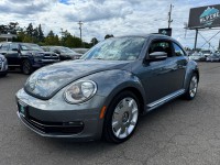 Image for 2013 Volkswagen Beetle  ID: 6746808