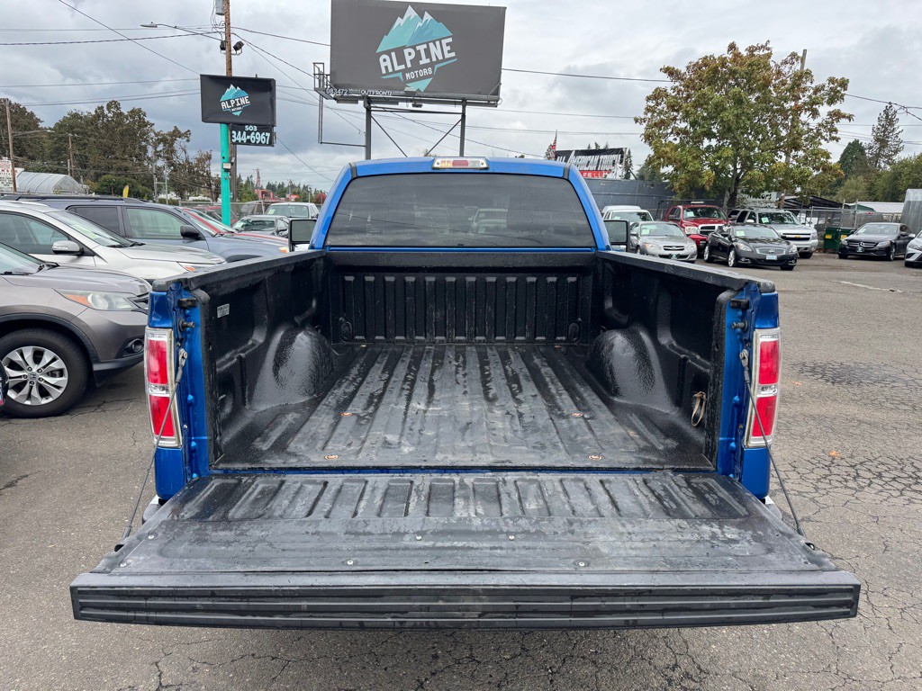 2010 Ford F-150 Image 4
