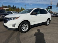 Image for 2019 Chevrolet Equinox LS ID: 6894584