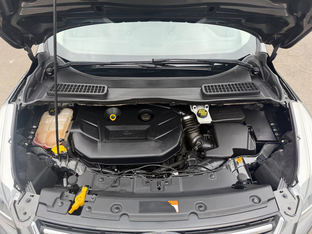 2016 Ford Escape Image 14