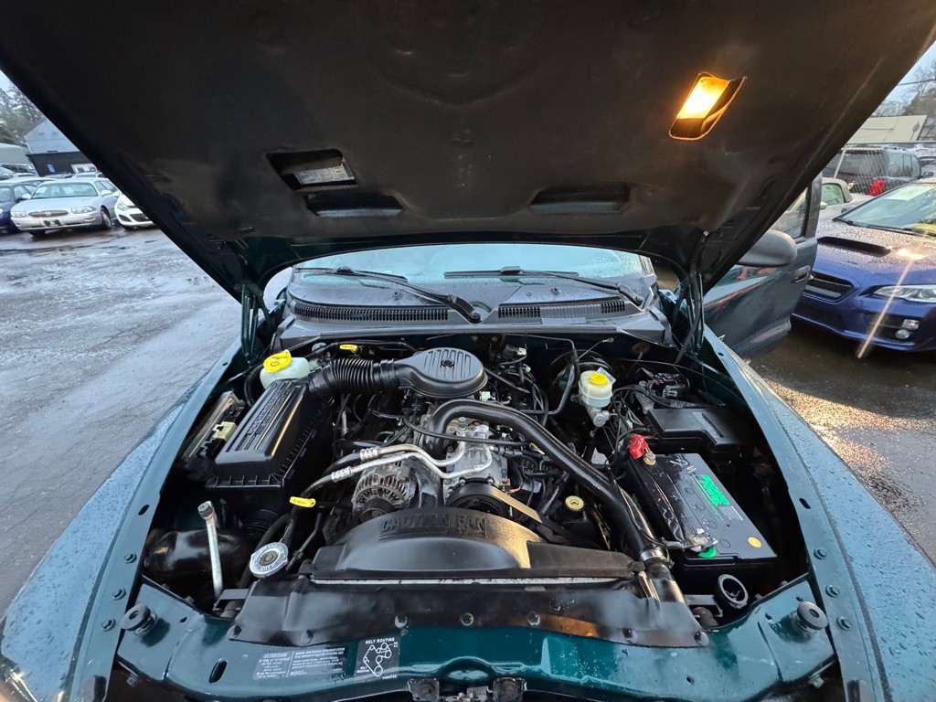 1999 Dodge Dakota Image 11