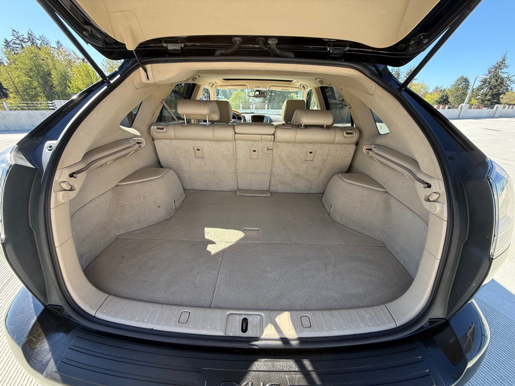 2009 Lexus RX Image 13