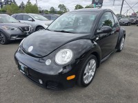 Image for 2002 Volkswagen Beetle Turbo S ID: 7378321