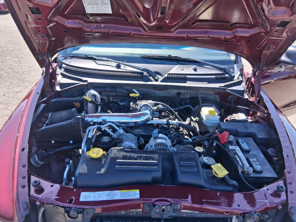 2003 Dodge Dakota Image 10