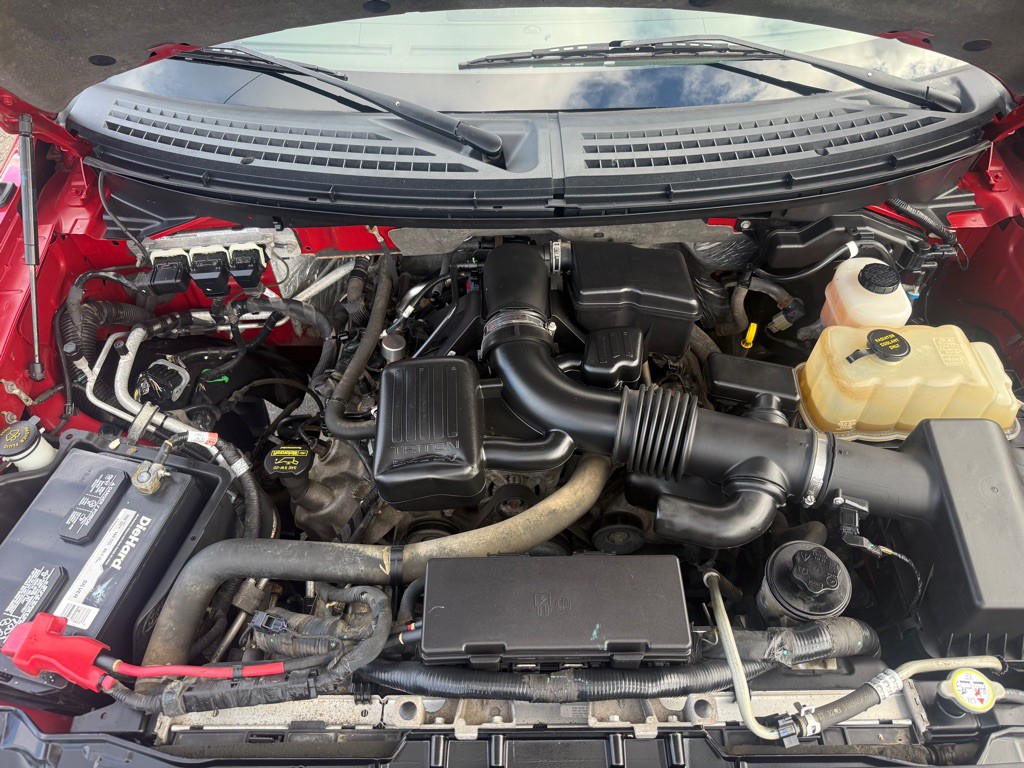 2010 Ford F-150 Image 14