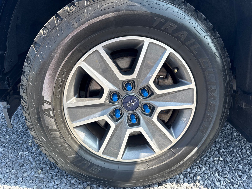 2017 Ford F-150 Image 3