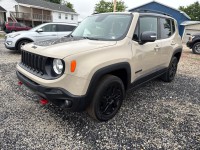 Image for 2017 Jeep Renegade Trailhawk ID: 7238817