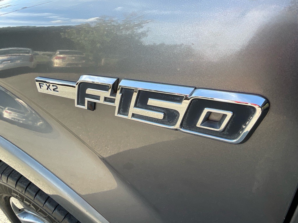 2010 Ford F-150 Image 12