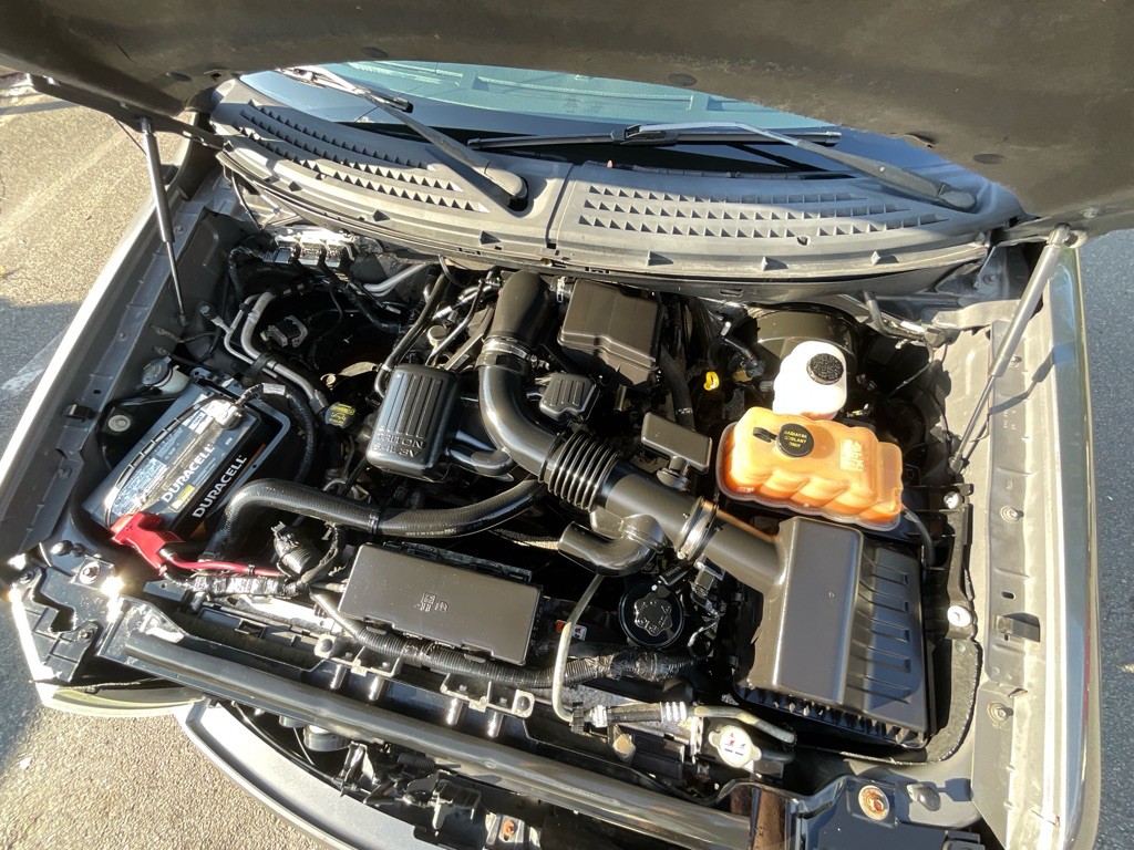 2010 Ford F-150 Image 15