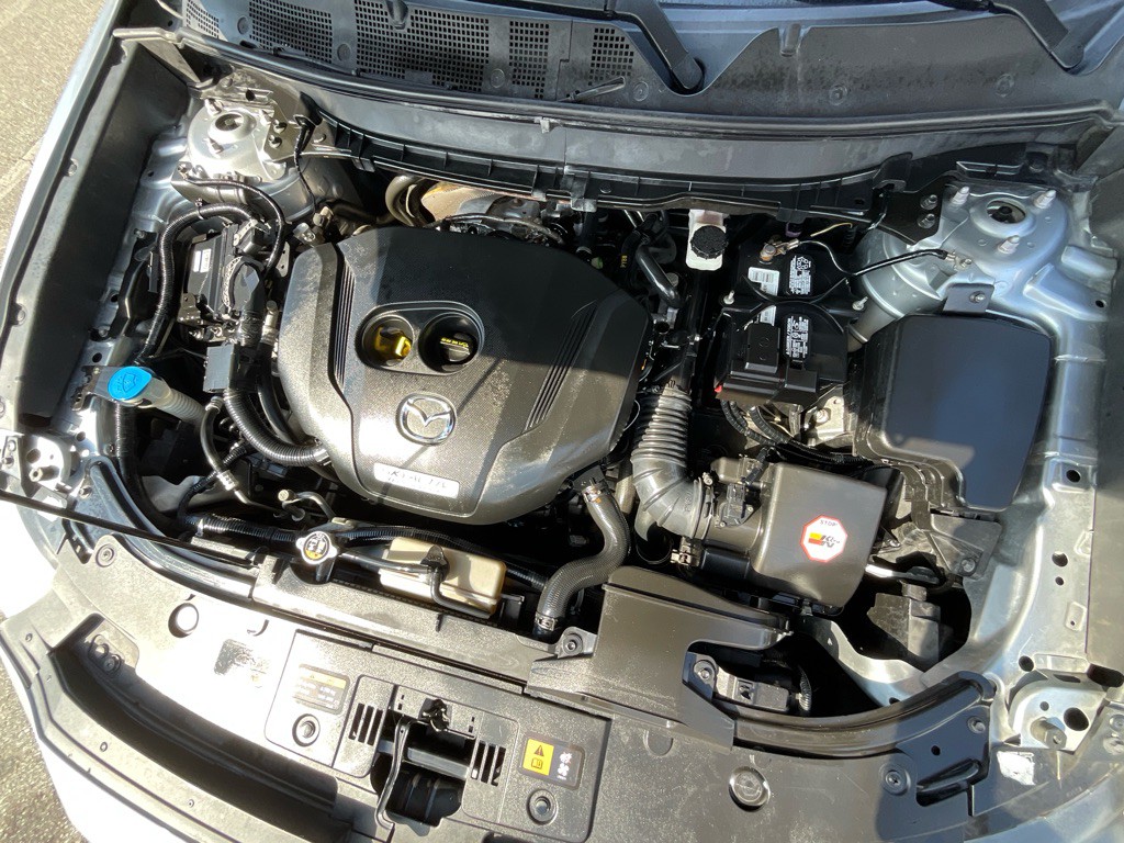 2017 Mazda CX-9 Image 13