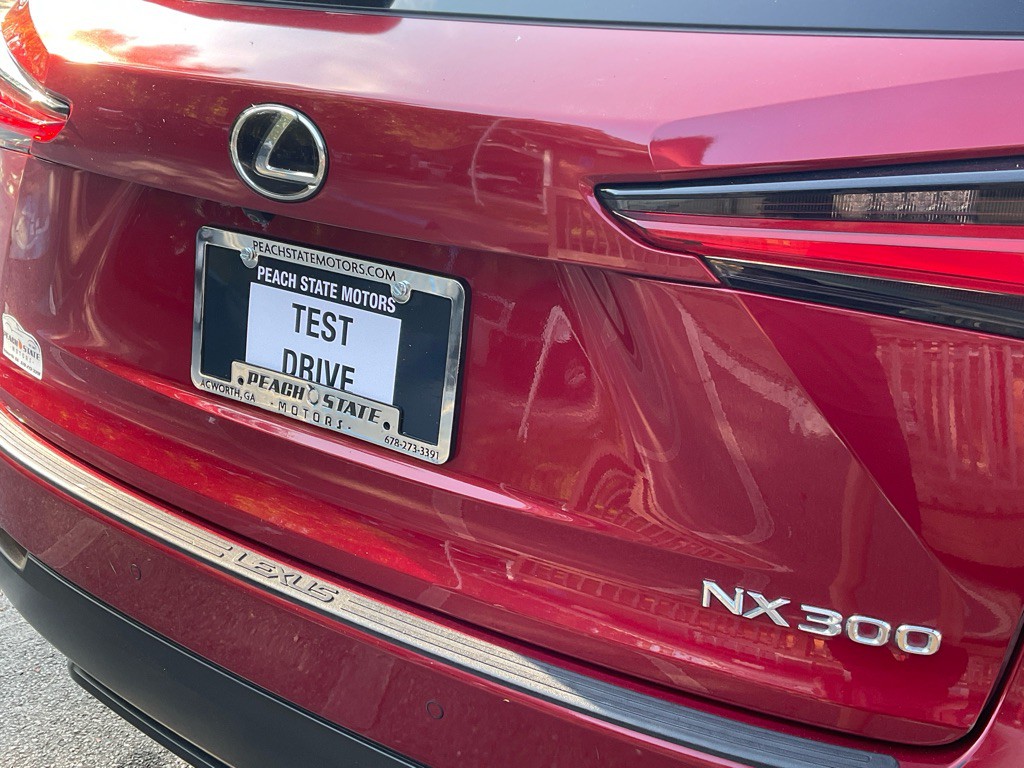 2019 Lexus NX 300 Image 9