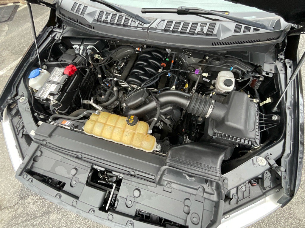 2019 Ford F-150 Image 14