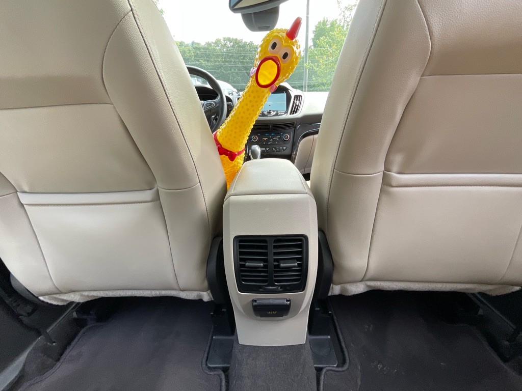 2019 Ford Escape Image 36