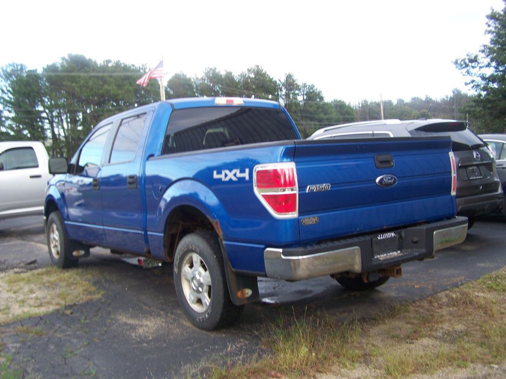 2010 Ford F-150 Image 4