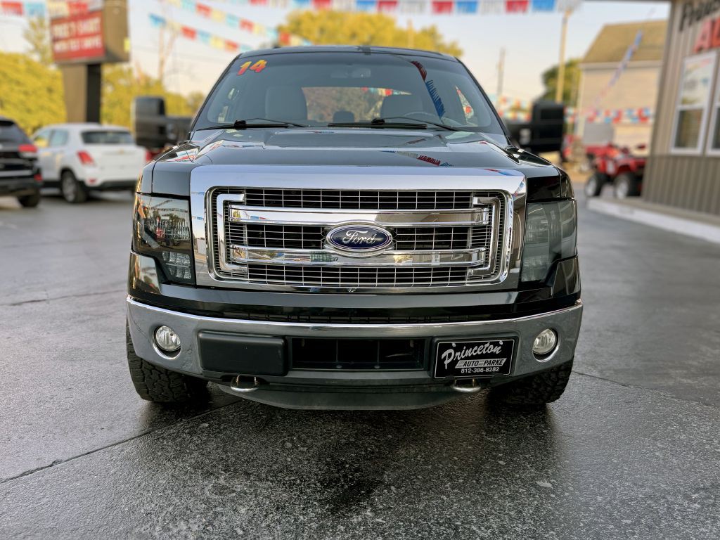 2014 Ford F-150 Image 3