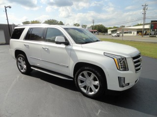 Image for 2018 Cadillac Escalade Luxury ID: 7631874