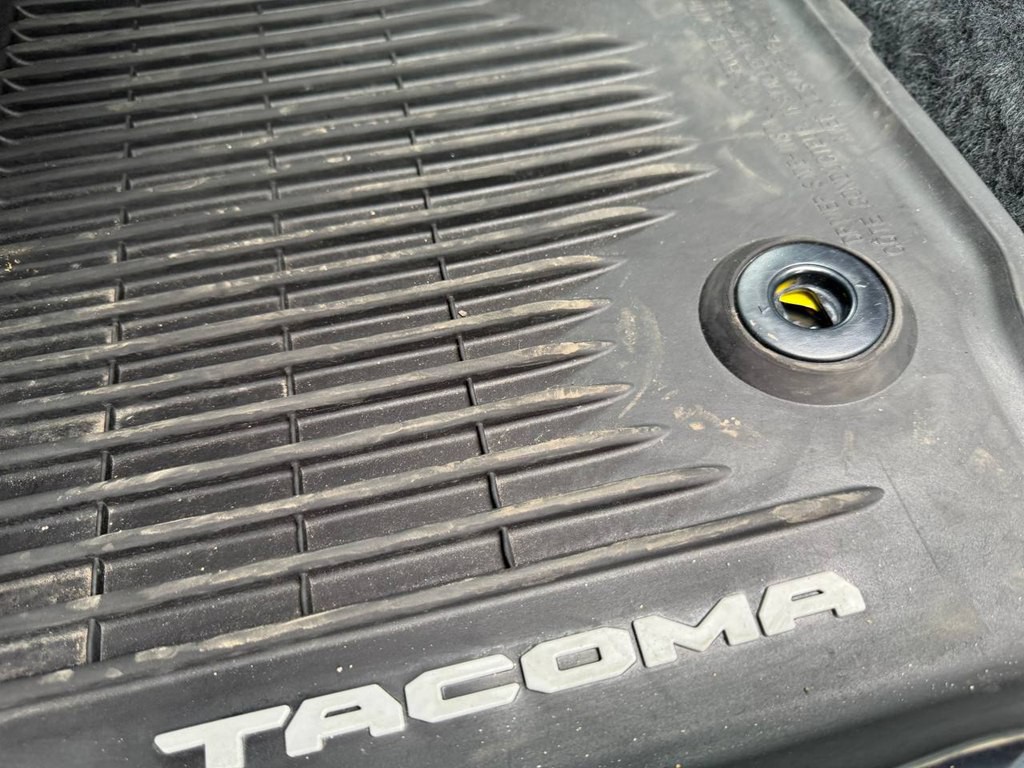 2019 Toyota Tacoma Image 19