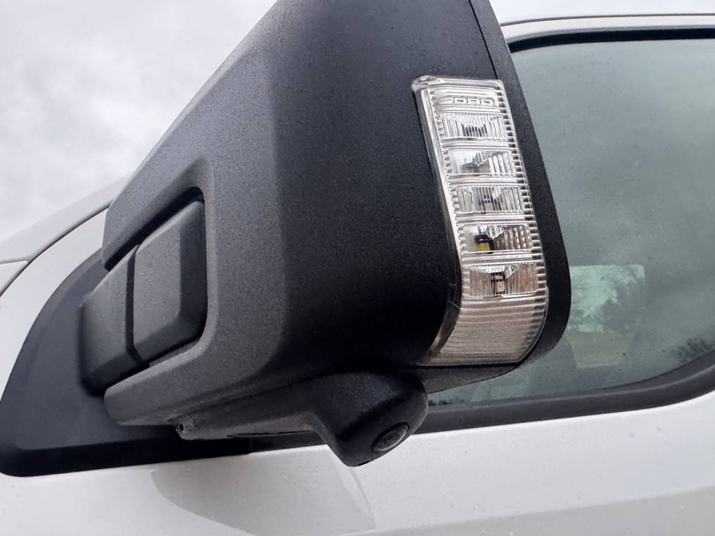 2021 Ford F-150 Image 19