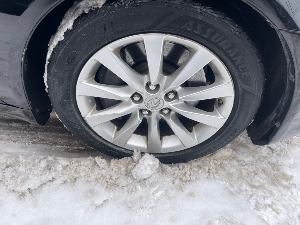 2010 Lexus LS Image 11