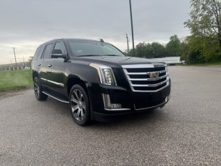 Image for 2018 Cadillac Escalade Luxury ID: 7395604