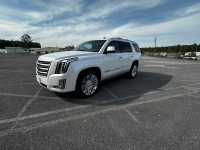 Image for 2017 Cadillac Escalade Platinum ID: 7361101