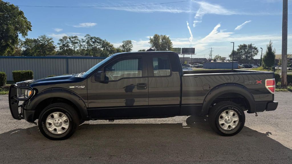 2010 Ford F-150 Image 2