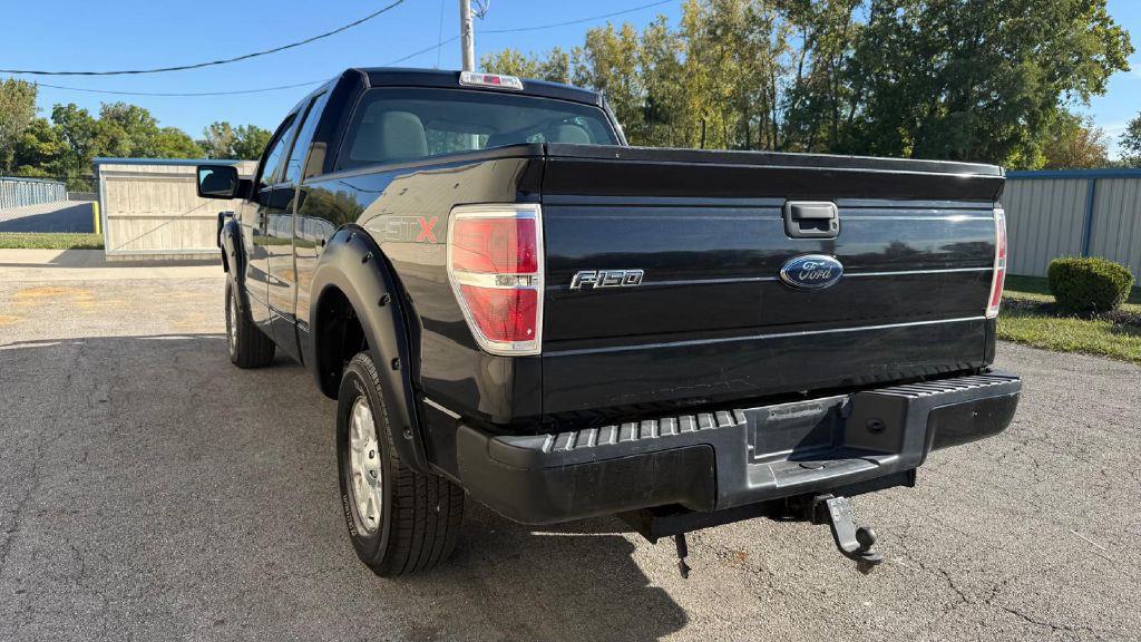 2010 Ford F-150 Image 3
