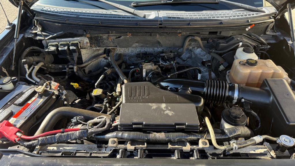 2010 Ford F-150 Image 21